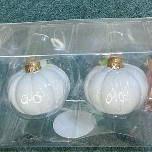 White Pumpkin Salt & Pepper Shaker Set